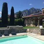 Viola